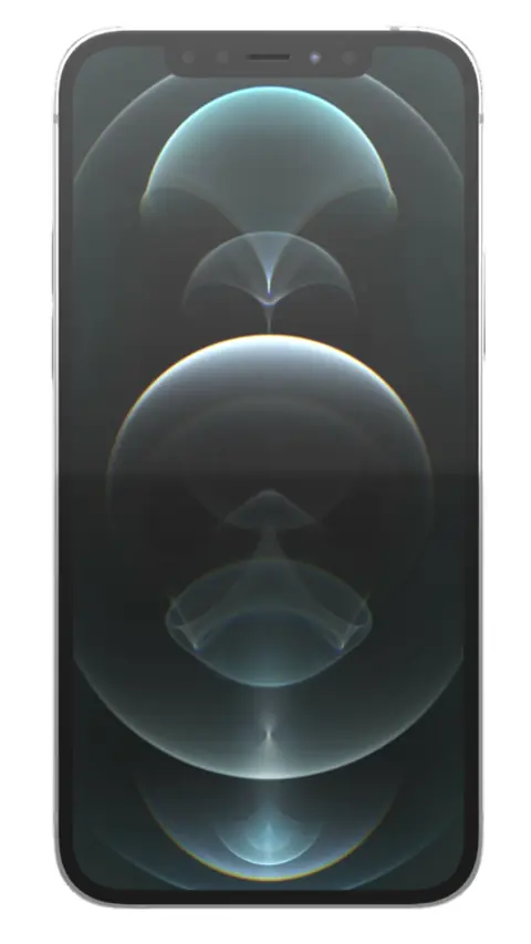 iPhone 12 Pro Prata